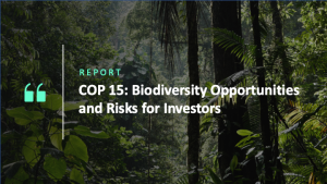 cop-15-biodiversity-opportunities-and-risks-for-investors.