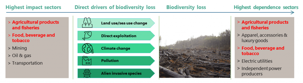 ure 1 - Industries with High Impact and Dependence on Biodiversity