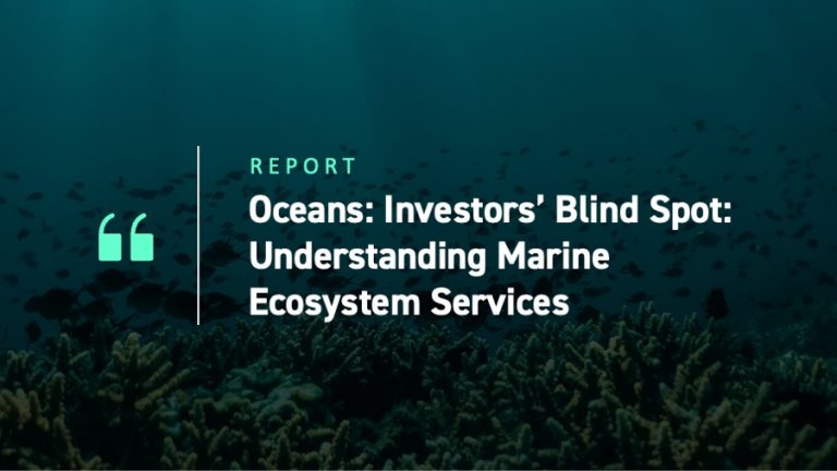 Oceans: Investors’ Blind Spot: Understanding Marine Ecosystem Services