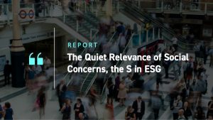 The Quiet Relevance of Social Concerns, the S in ESG