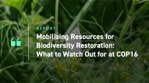 Mobilizing Resources for Biodiversity Restoration What to Watch Out for at COP16