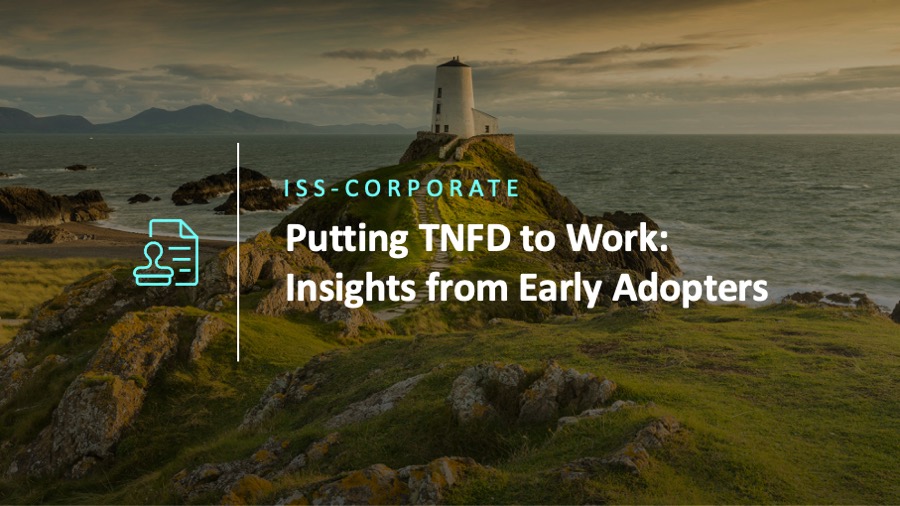 Putting TNFD to Work: Insights from Early Adopters